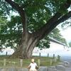 20080727_095157_P1000573