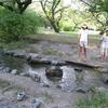 20080727_163604_IMG_1002