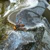 20080730_083349_P1000605