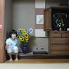 20080804_072026_P1000725