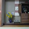 20080804_072038_P1000726