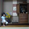 20080804_072121_P1000728