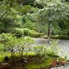 20080805_013756_P1000739