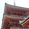 20080805_024201_P1000744