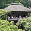 20080805_030502_P1000749