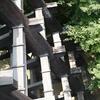 20080805_030516_P1000750