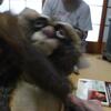 20080805_065804_P1000762