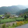 20080806_081813_P1000786