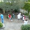 20080828_190411_p1000889