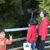 20081005_151725_P1000918