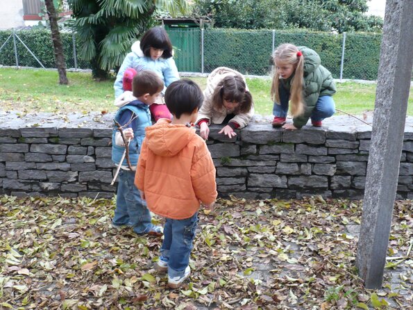 20081109_150321_P1000977
