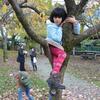 20081109_154142_P1000980