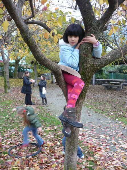 20081109_154142_P1000980