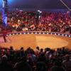 20081115_145817_P1000993