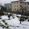 20081129_095341_P1010014
