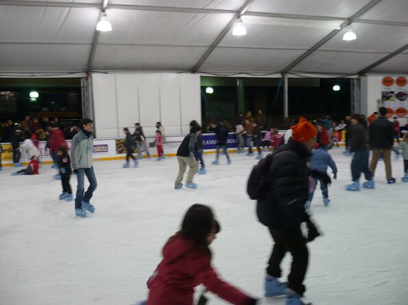 20090102_195553_P1010115