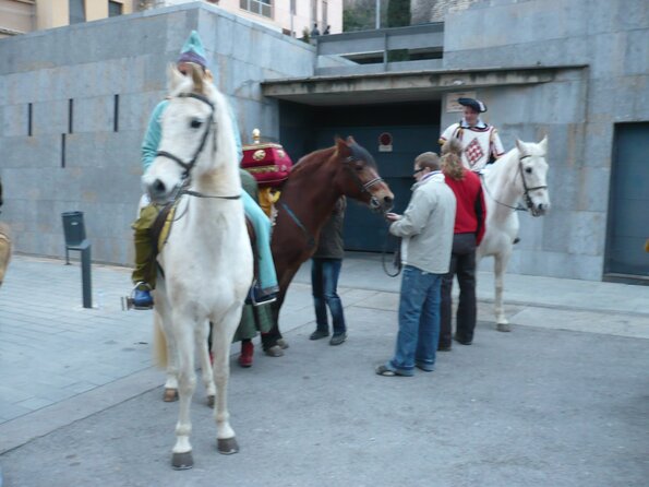 20090105_170646_P1010130