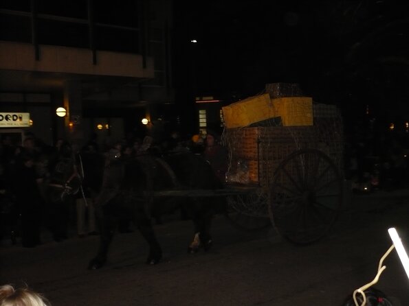 20090105_183342_P1010213