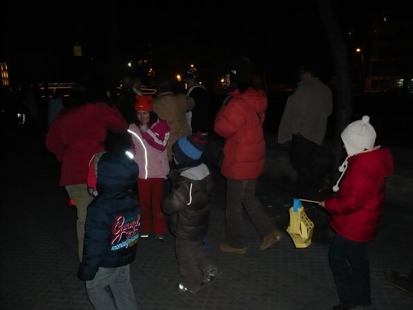 20090105_184329_P1010235