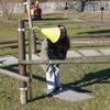 20090208_151401_P1010298