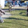 20090208_151527_P1010300