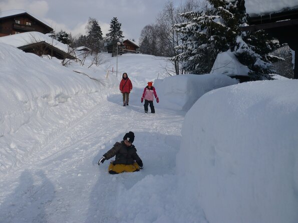 20090222_165154_P1010344