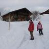 20090222_165517_P1010346