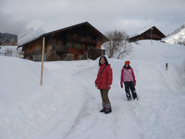20090222_165517_P1010346