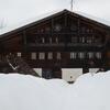 20090222_165703_P1010347