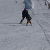 20090225_144608_P1010359