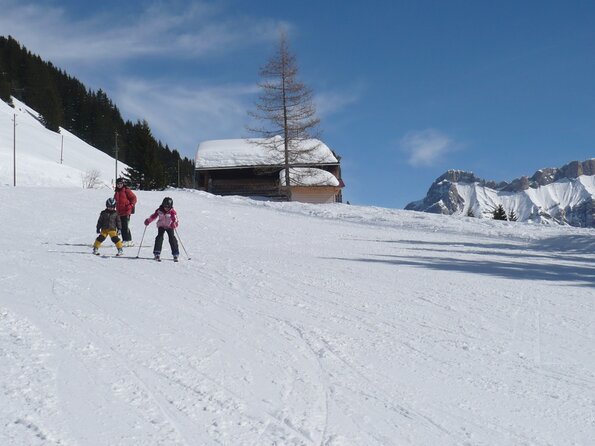 20090227_131914_P1010381