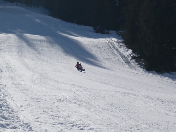 20090227_143733_P1010391