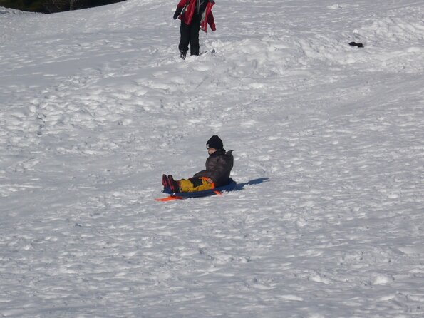 20090228_155454_P1010405