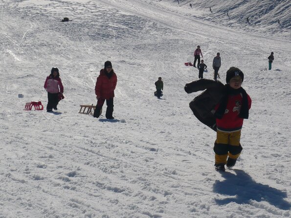20090228_161433_P1010408