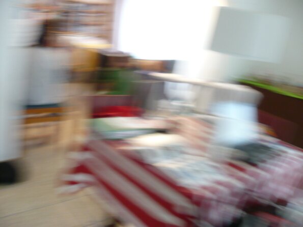 20090411_093040_P1010502