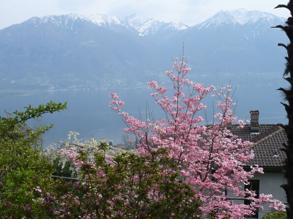 20090412_150615_P1010510