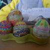 20090415_110446_P1010525