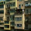 20090426_211900_DSCN7963