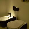 20090426_211906_DSCN8091