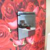 20090426_211907_DSCN8114