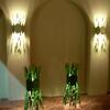 20090426_211909_DSCN8153