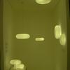 20090426_211910_DSCN8158
