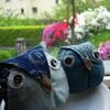 20090426_211912_DSCN8197