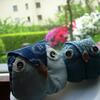 20090426_211912_DSCN8198