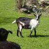 20090501_095302_P1010554