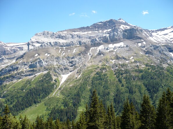 20090613_152612_P1010692