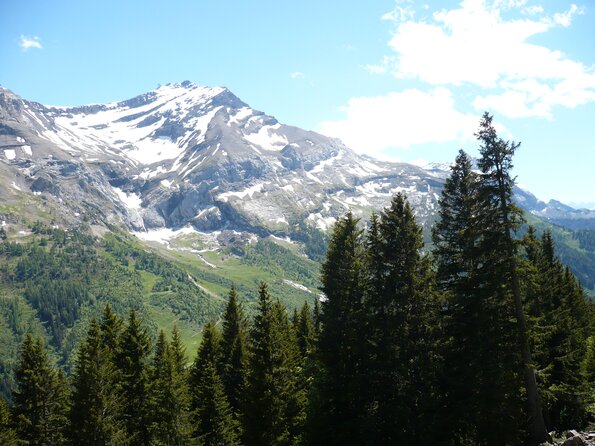 20090613_152616_P1010693
