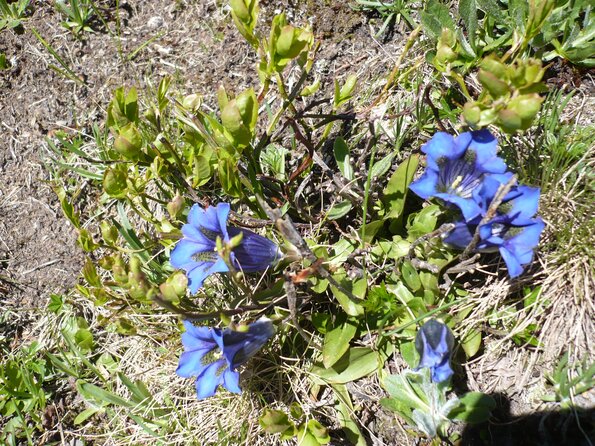 20090613_161753_P1010701