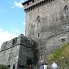 20090619_181258_P1010734