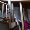 20090620_154220_P1010755